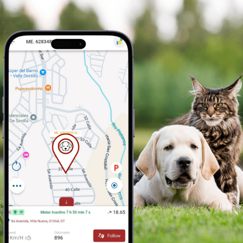 Pet GPS Tracker