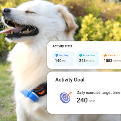 Pet GPS Tracker