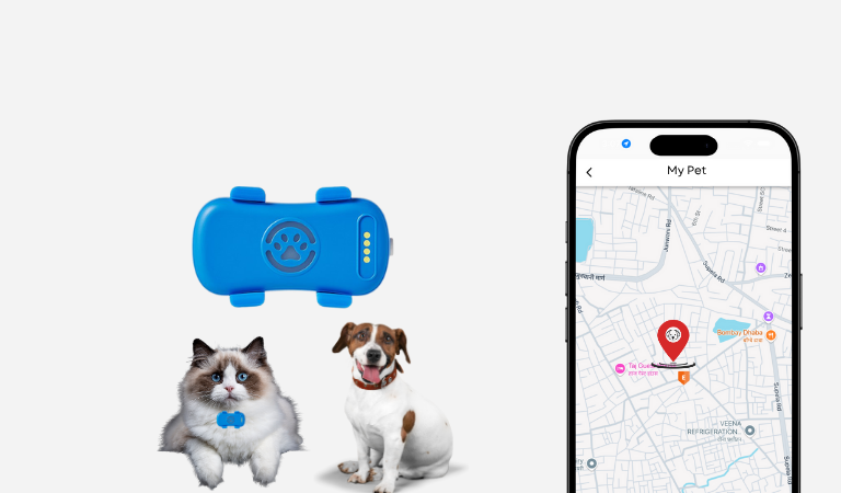 Pet GPS Tracker